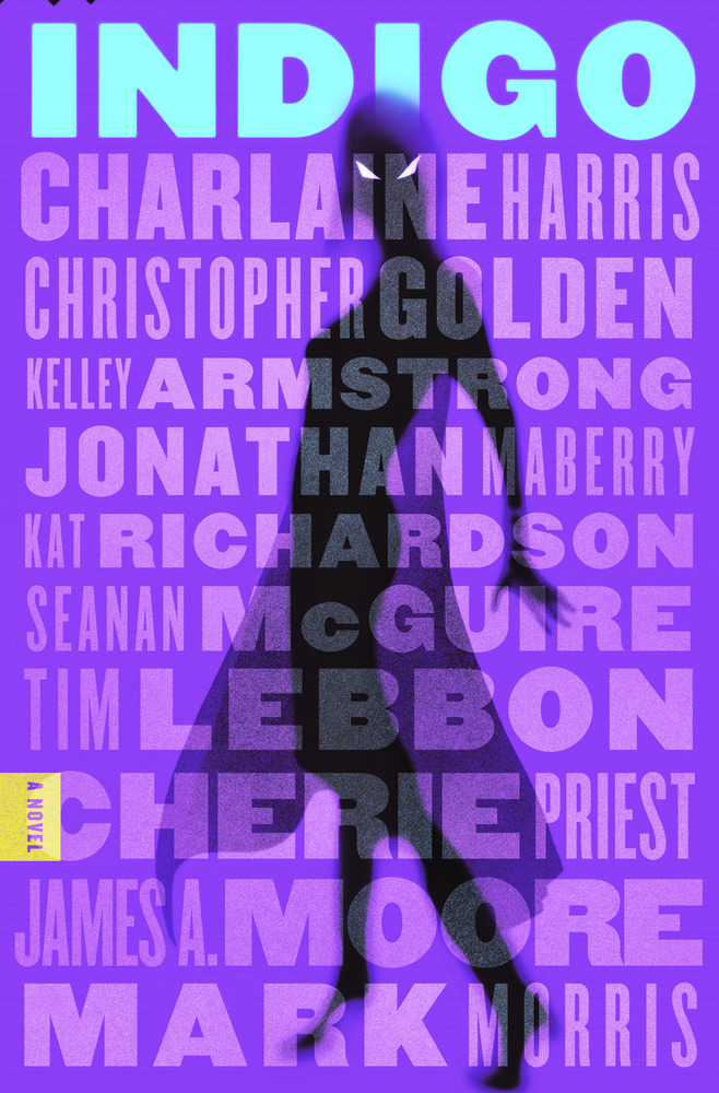 Indigo book cover 1