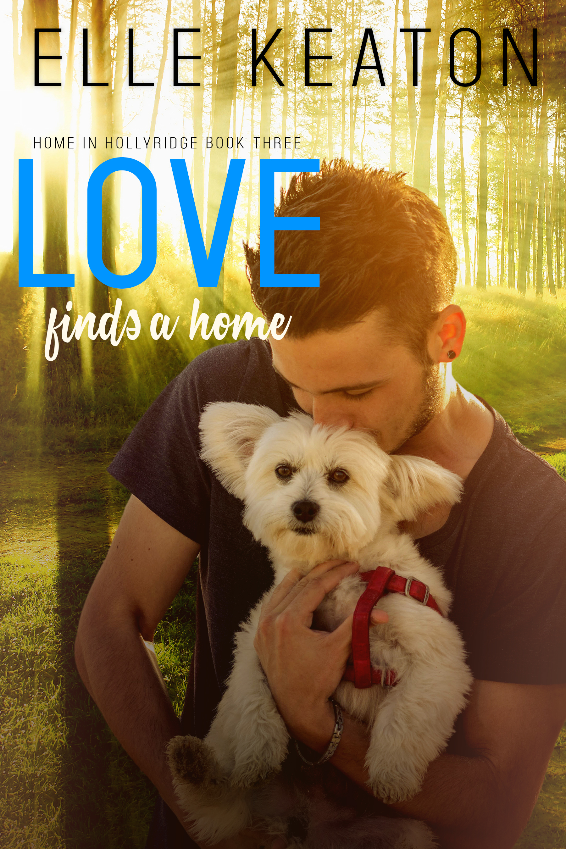 Home in Hollyridge book cover 3