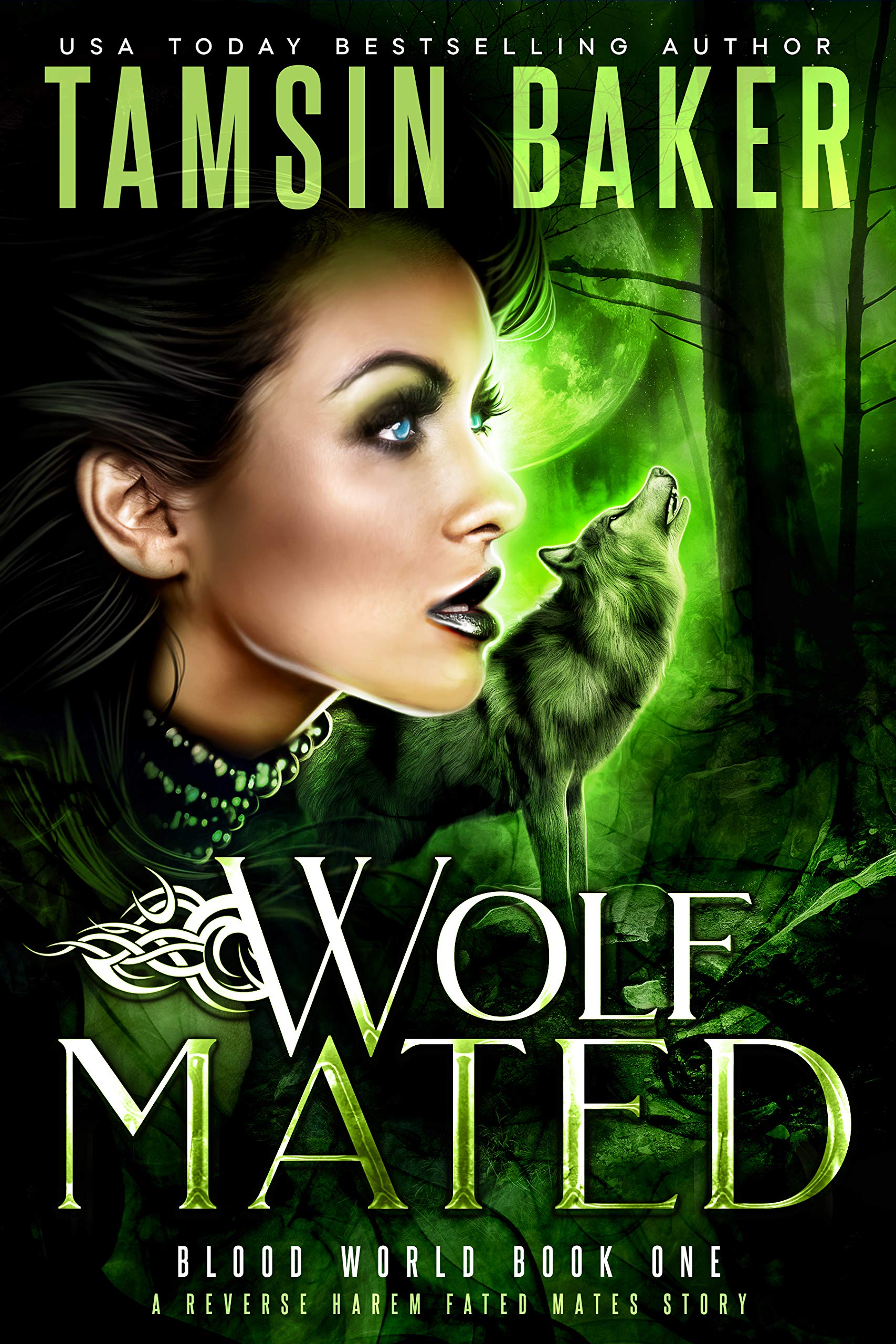 Blood World book cover 1