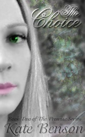 The Promise book cover 2