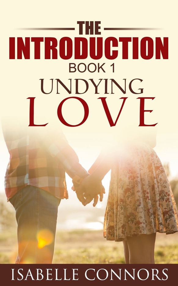 The Introduction book cover