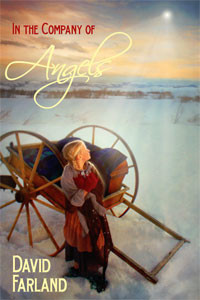 In the Company of Angels book cover