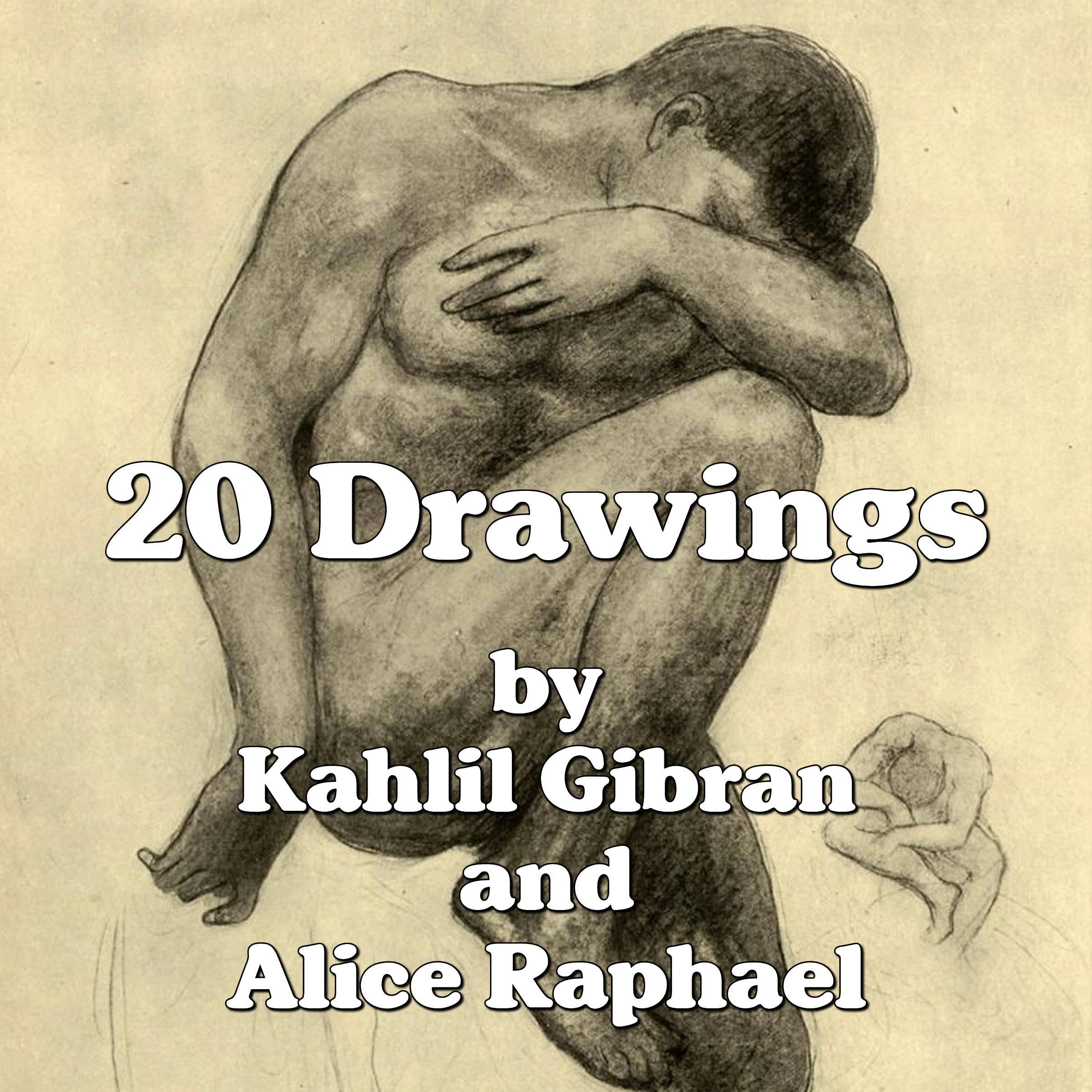 Twenty Drawings book cover