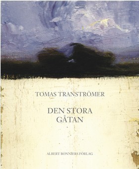 Den stora gåtan book cover