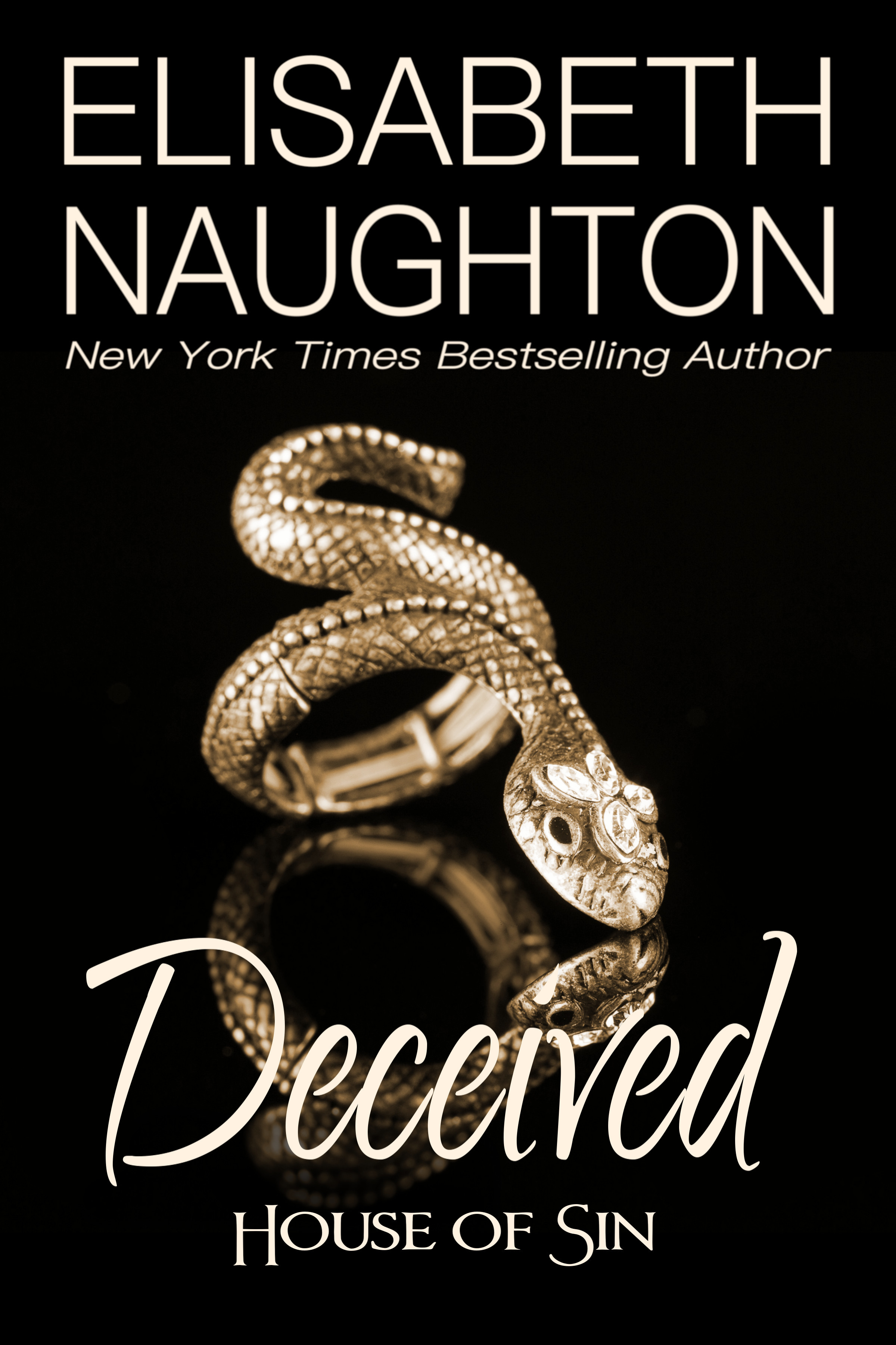House of Sin book cover 2