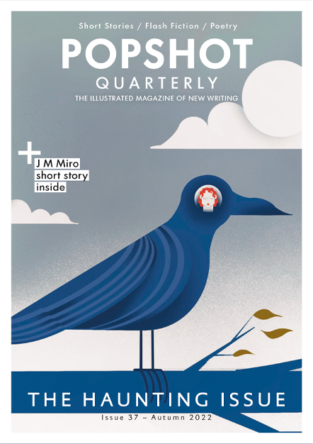 Popshot Quarterly Magazine, Issue 37, Autumn 2022 book cover