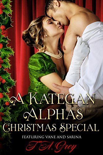 A Kategan Alphas Christmas Special book cover