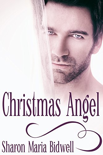 Angel book cover 3