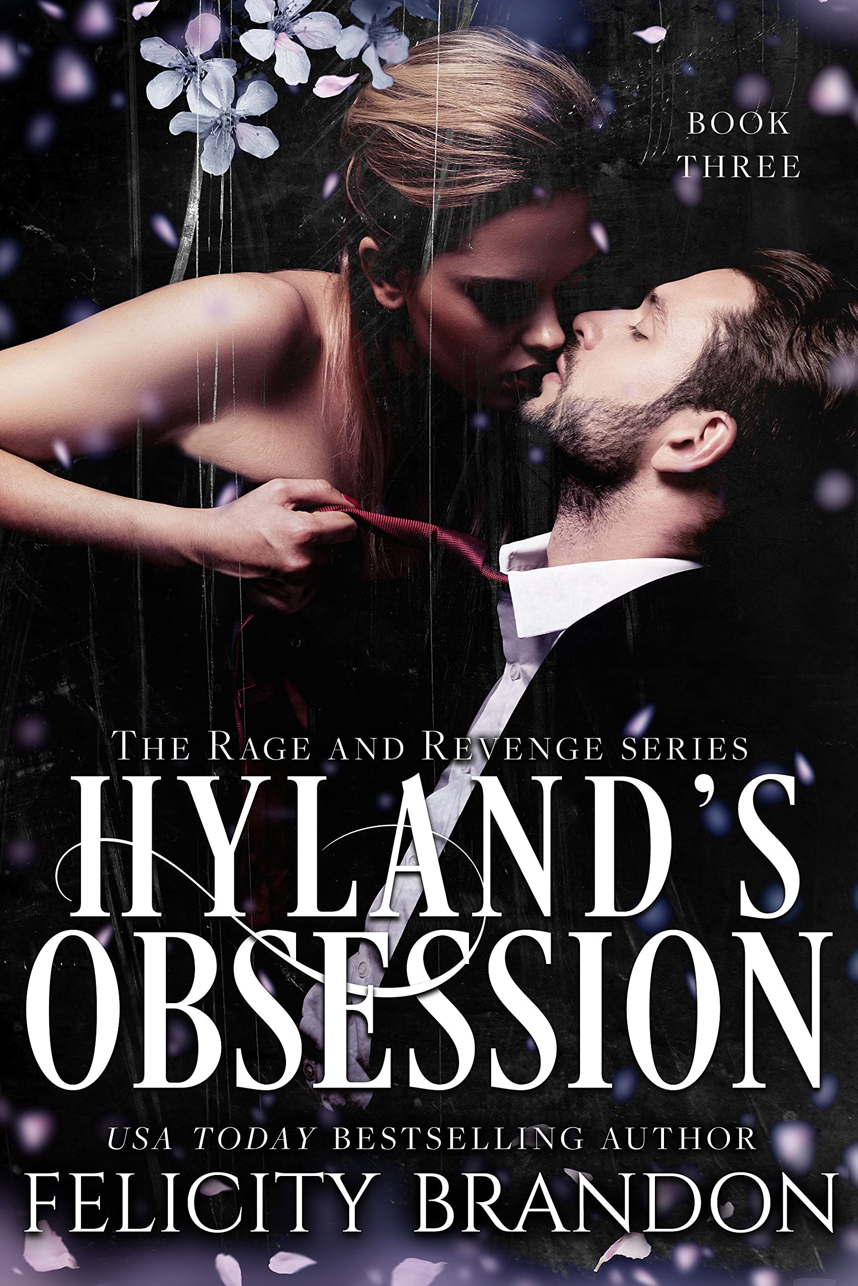 The Rage and Revenge book cover 3
