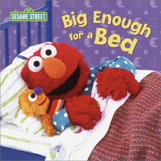 Big Enough for a Bed book cover