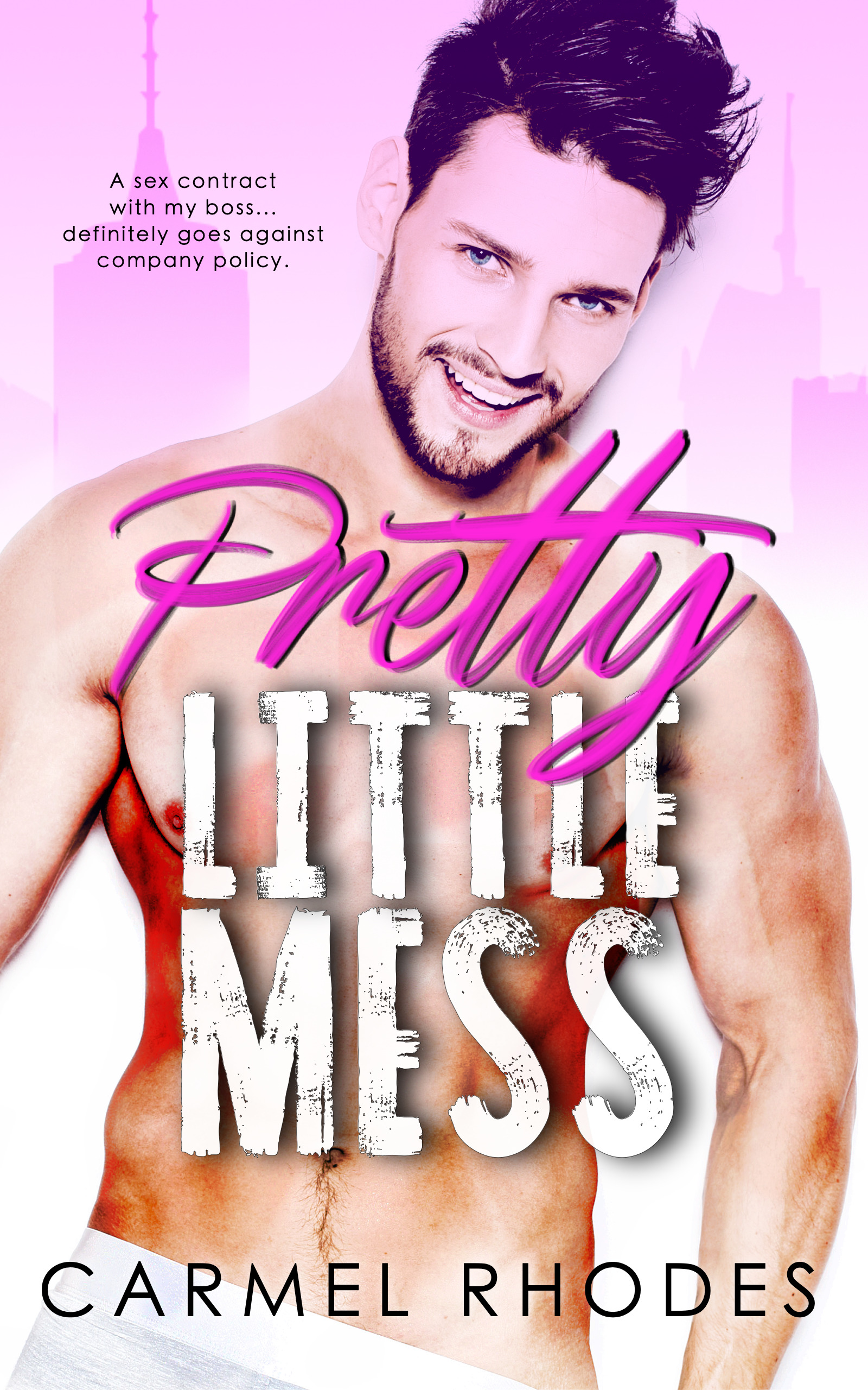 Pretty Little Mess book cover