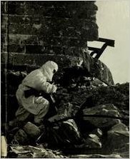 Red Army Resurgent book cover