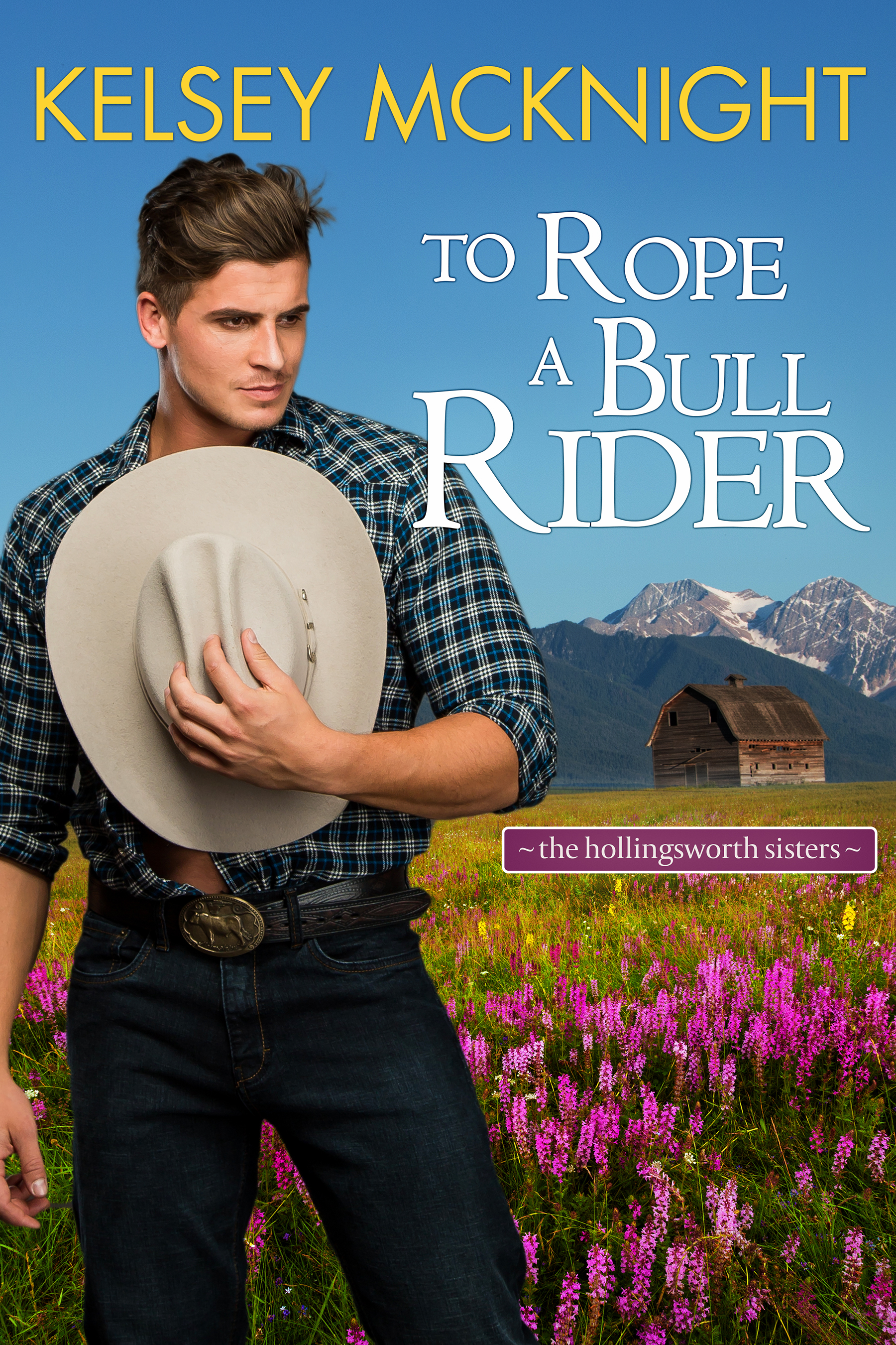 The Hollingsworth Sisters book cover 2