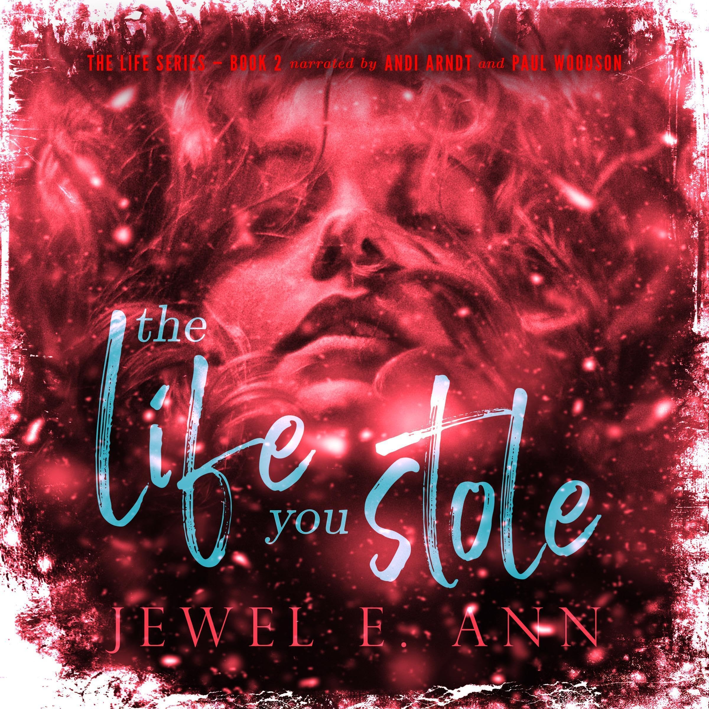 The Life You Stole book cover