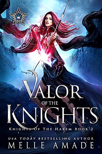 Valor of the Knights book cover