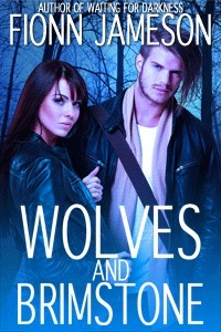 Blood Martyr book cover 3