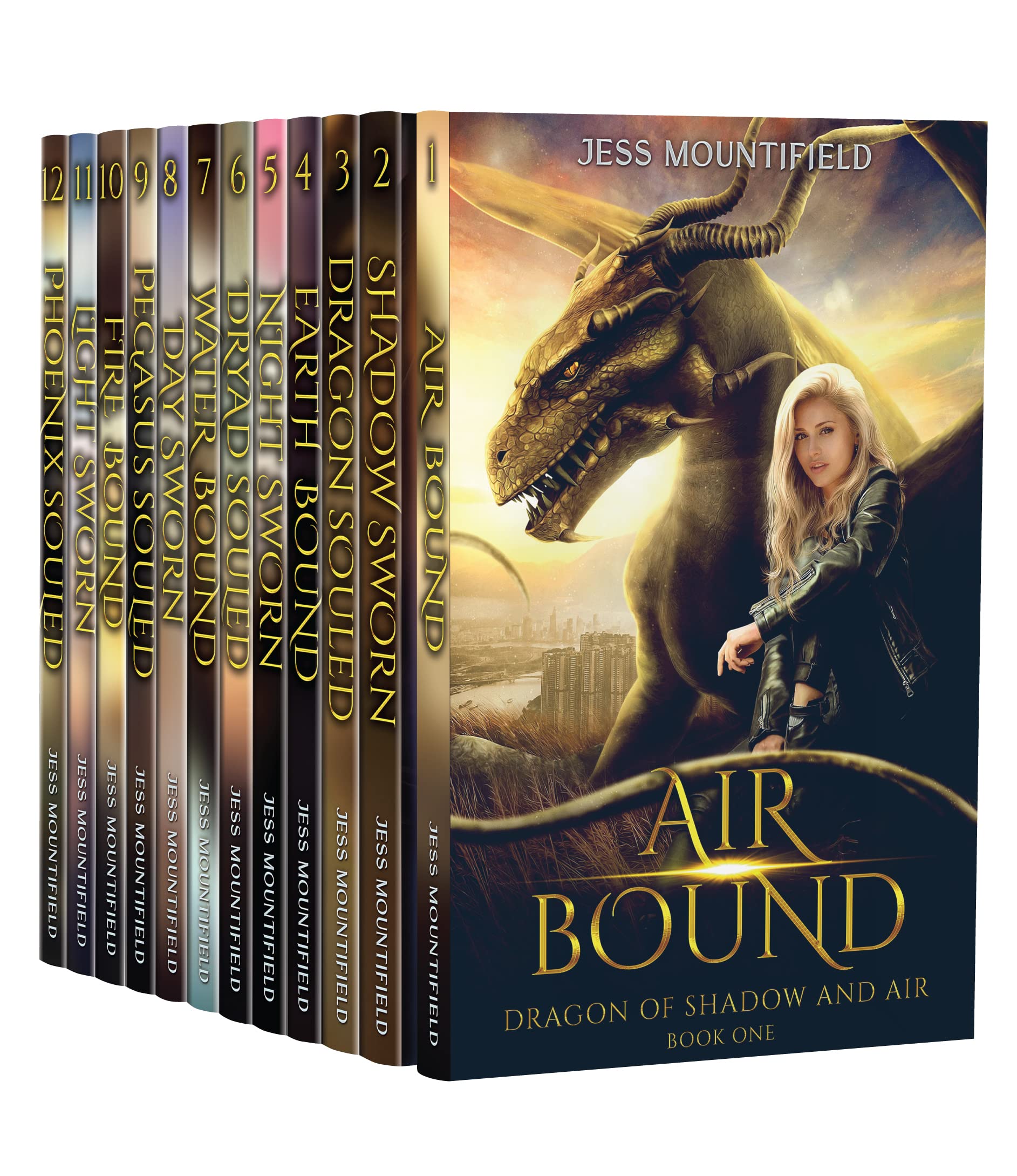 Dragon of Shadow and Air Complete Series Boxed Set book cover