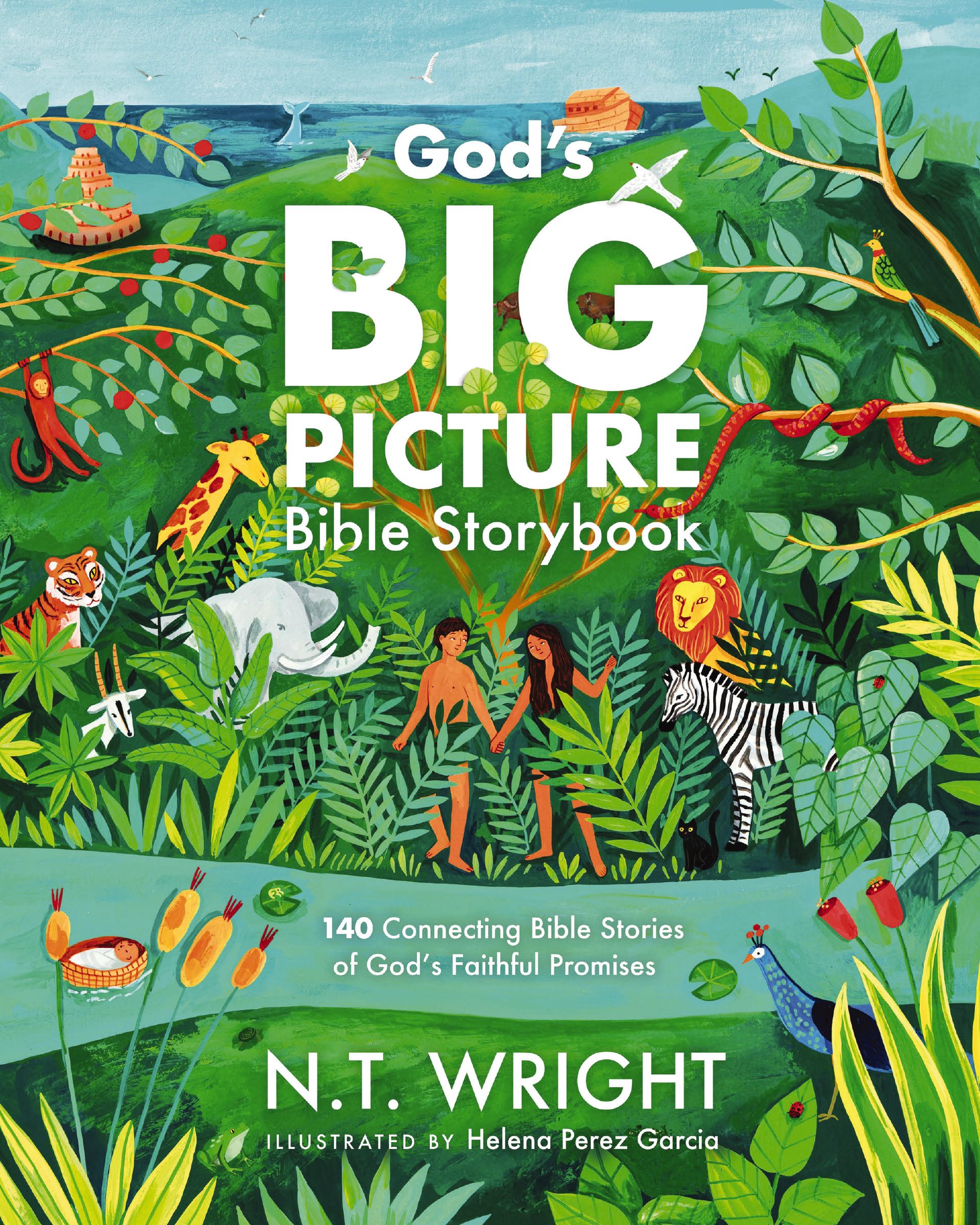 God's Big Picture Bible Storybook book cover