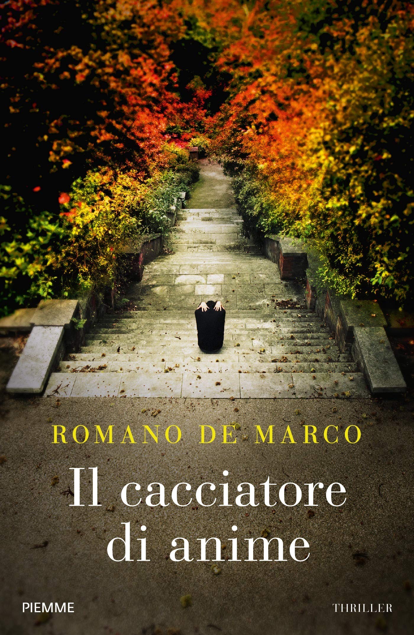 Il cacciatore di anime book cover