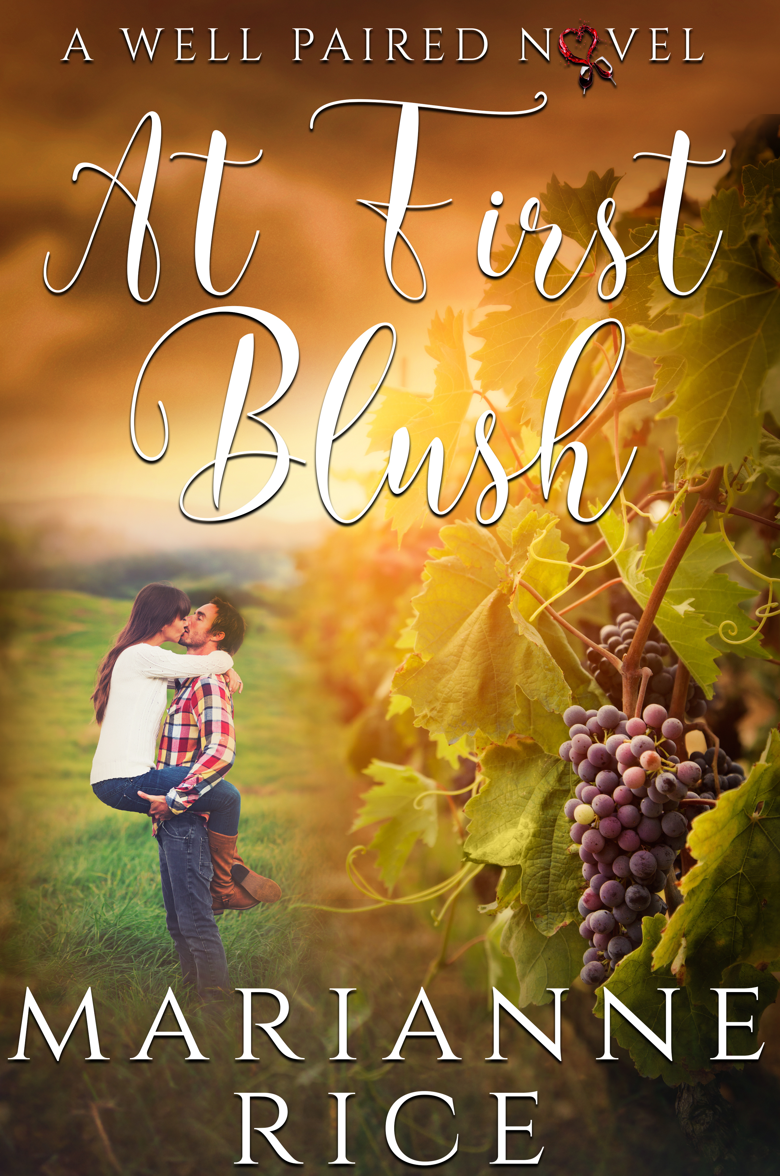 A Well Paired Novel book cover 1