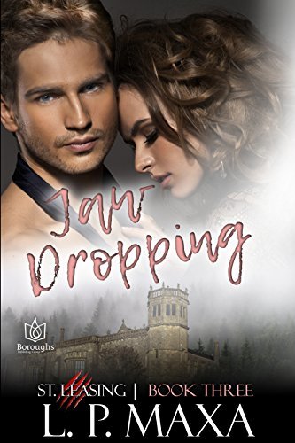 St. Leasing book cover 3