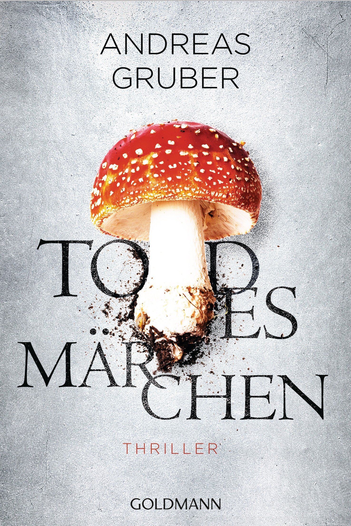 Maarten S. Sneijder book cover 2