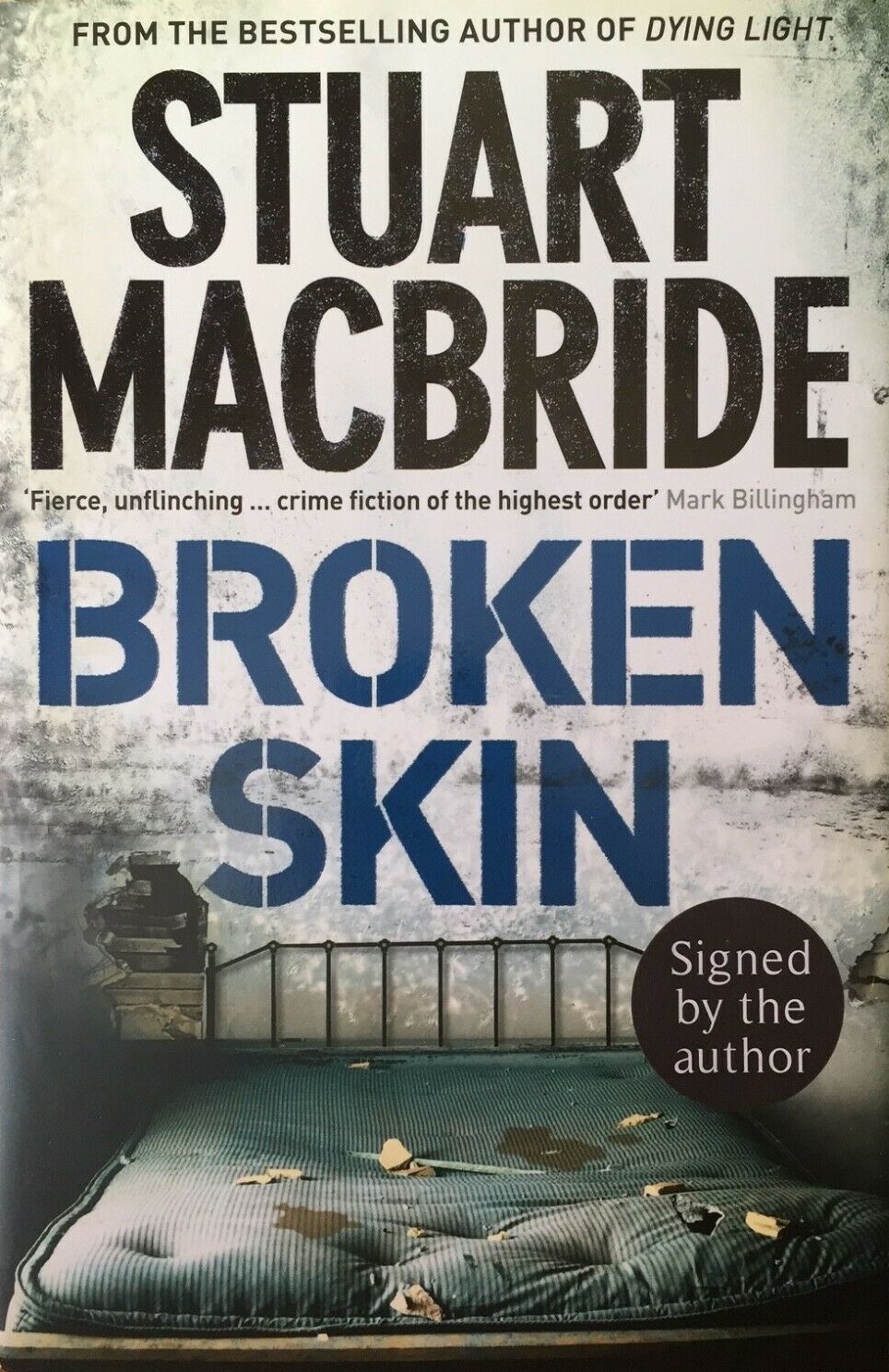 Broken Skin book cover