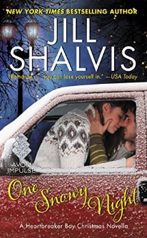 One Snowy Night book cover
