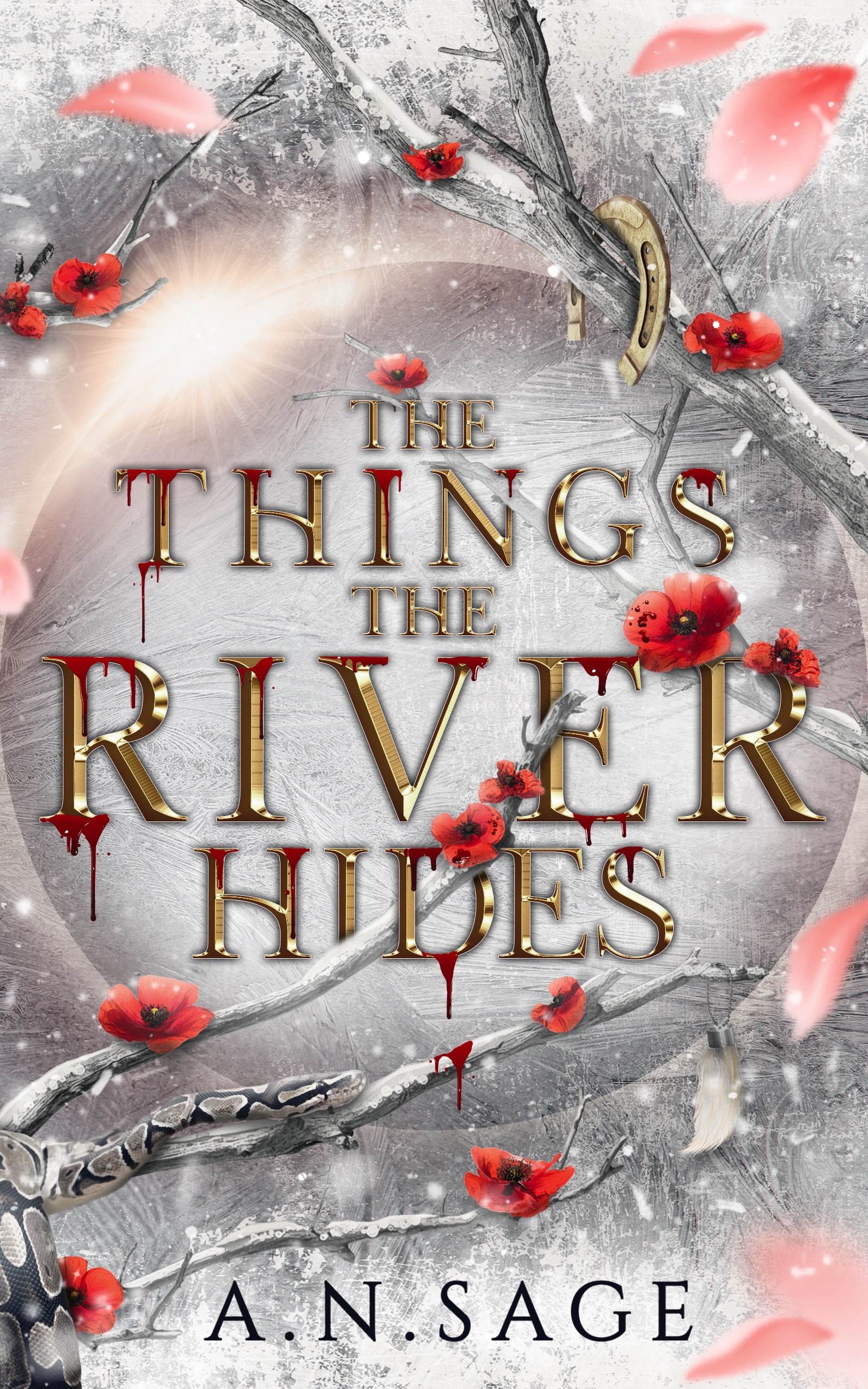 The Things the River Hides book cover