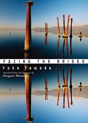 Facing the Bridge book cover