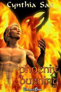 Unicorn Prince book cover 2