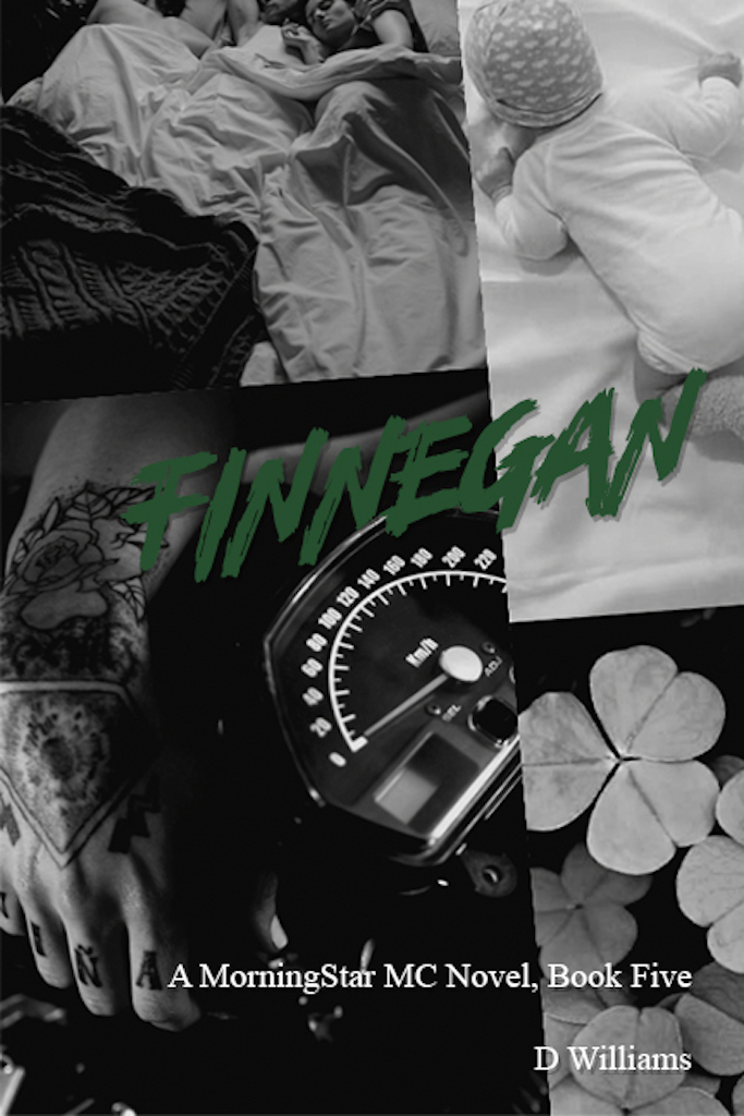 Finnegan book cover