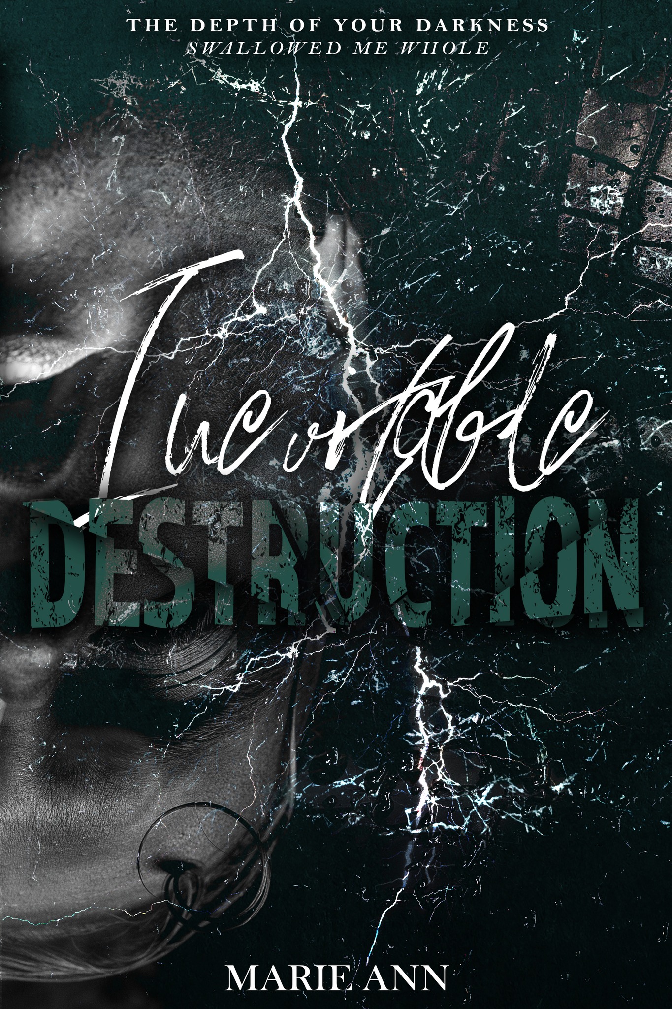 Inevitable Destruction book cover