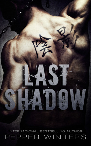 Last Shadow book cover
