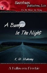 A Bump in the Night book cover