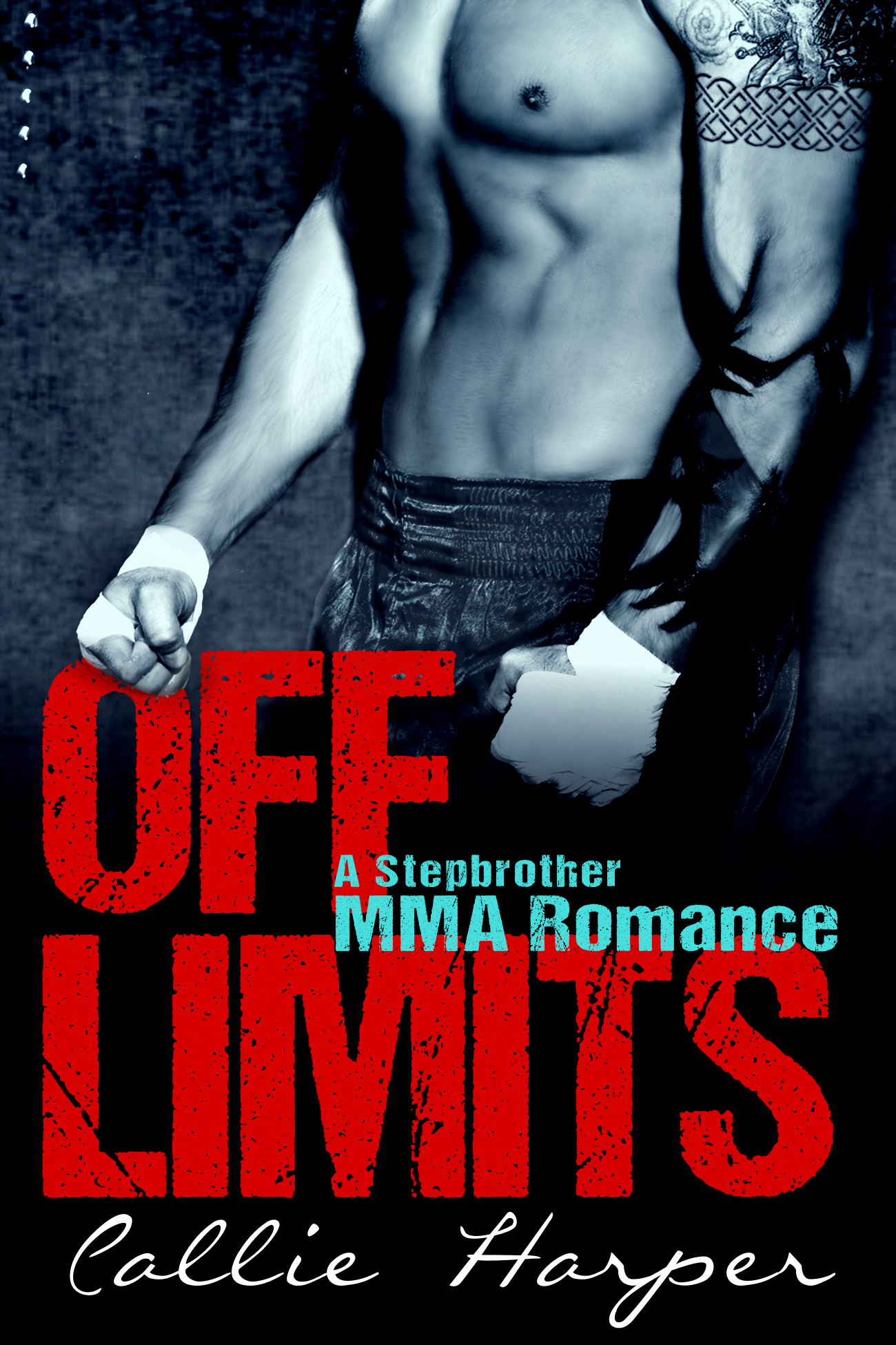 Off Limits book cover