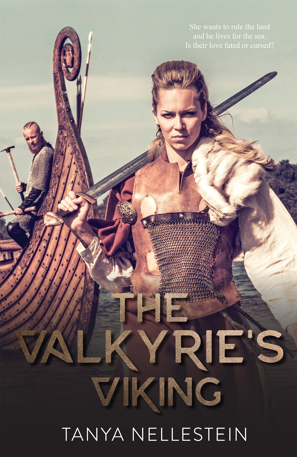 The Valkyrie of Birca book cover 1