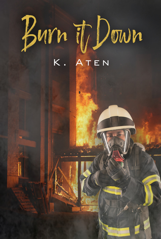 Burn It Down book cover