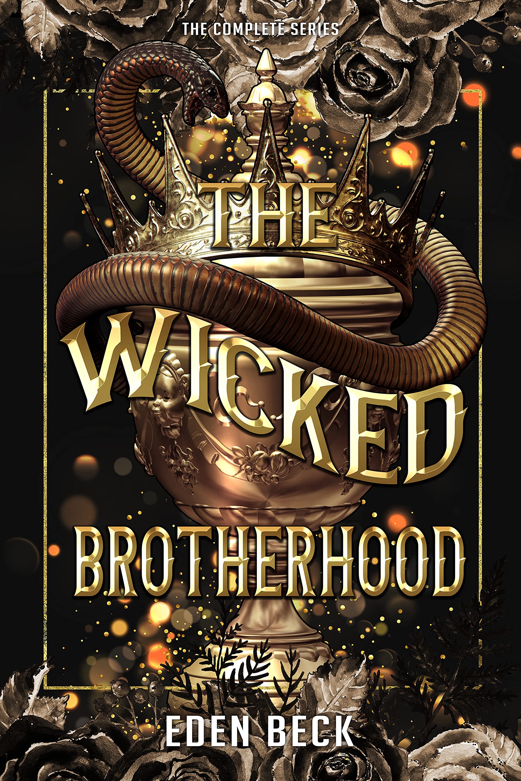 The Wicked Brotherhood book cover