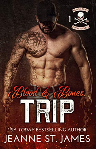 Blood Fury MC book cover 1