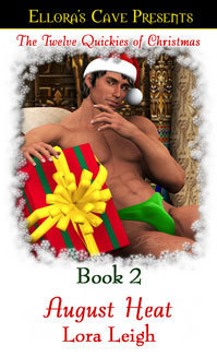 The Twelve Quickies of Christmas book cover 2