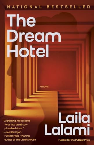 The Dream Hotel book cover
