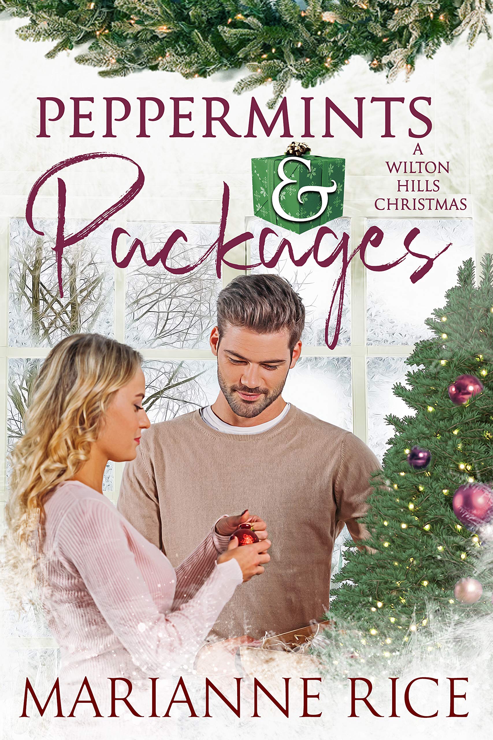 A Wilton Hills Christmas book cover 3