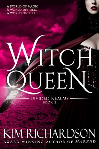 Divided Realms book cover 2