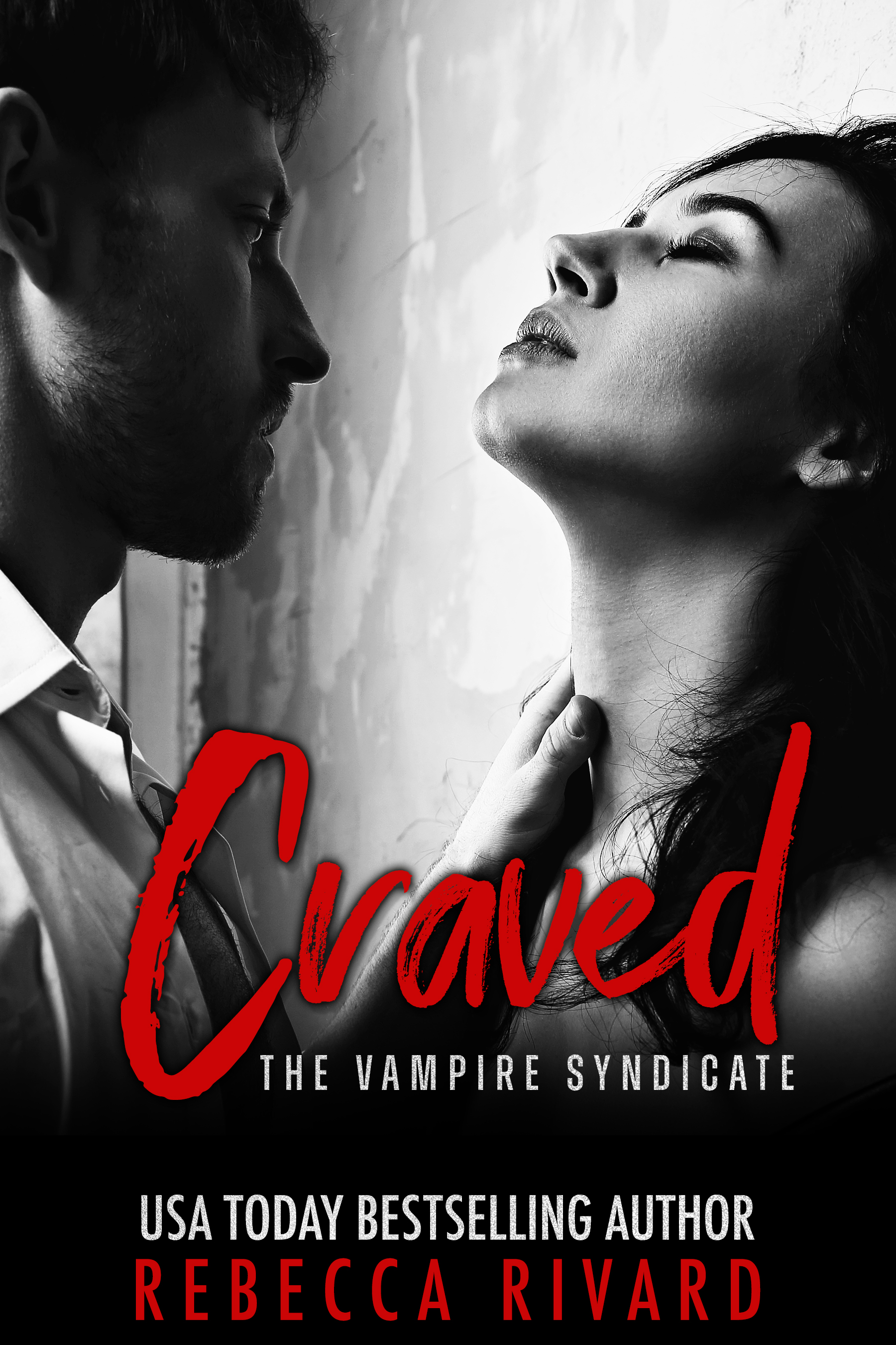 The Vampire Syndicate book cover 2