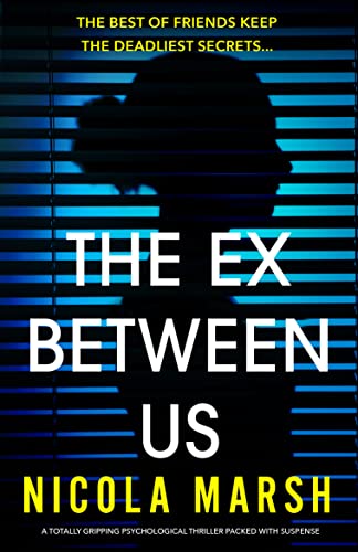 The Ex Between Us book cover