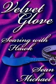 Soaring With Hawk book cover