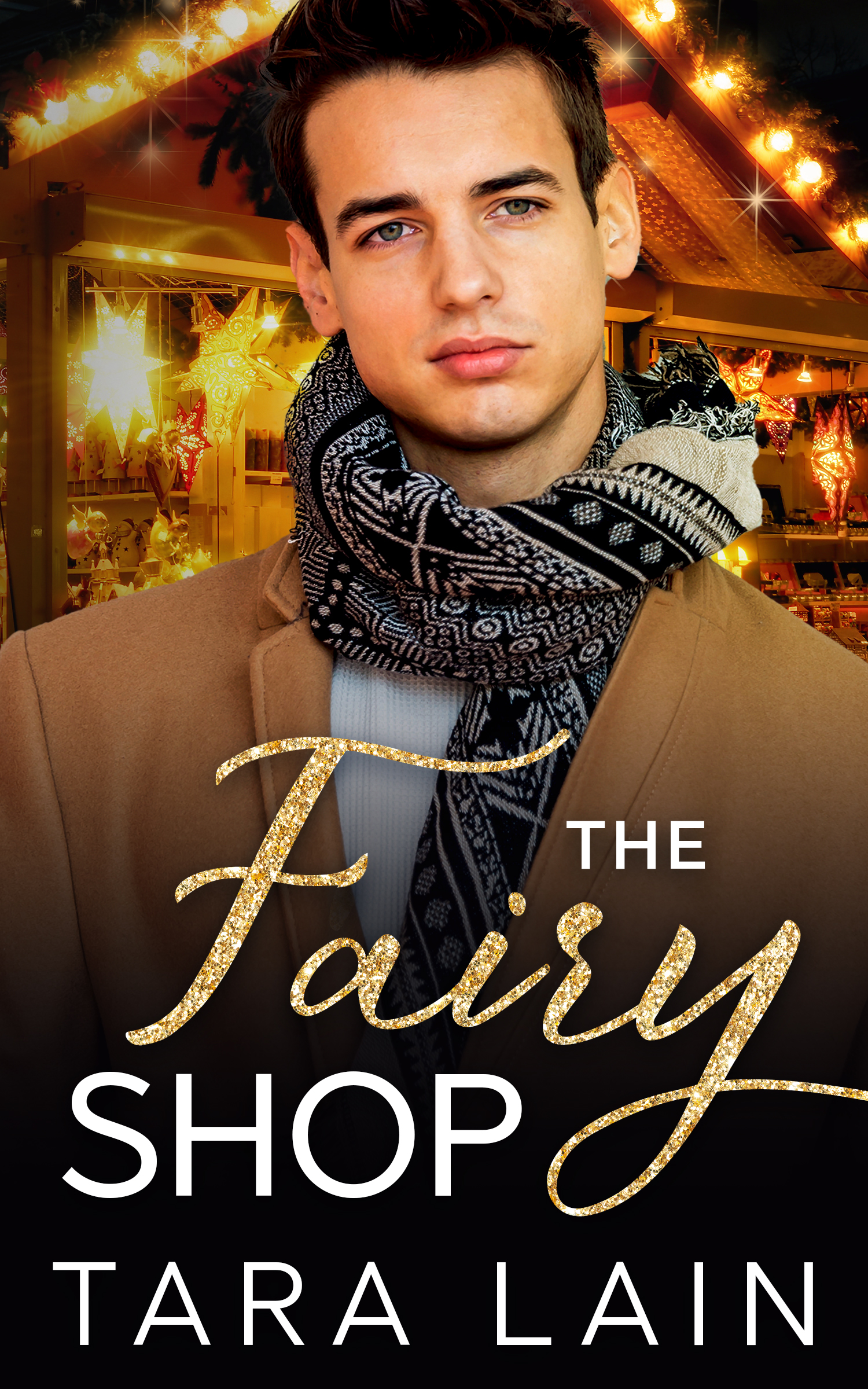 The Fairy Shop book cover