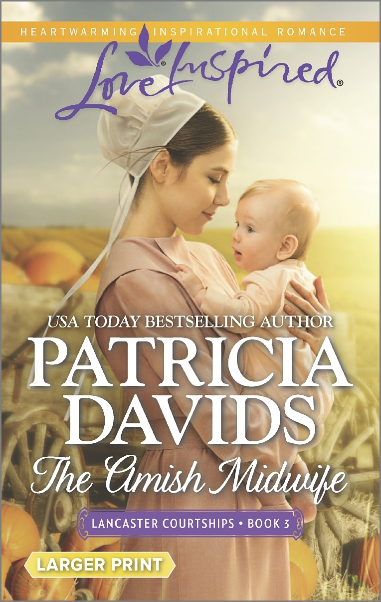 Lancaster Courtships book cover 3