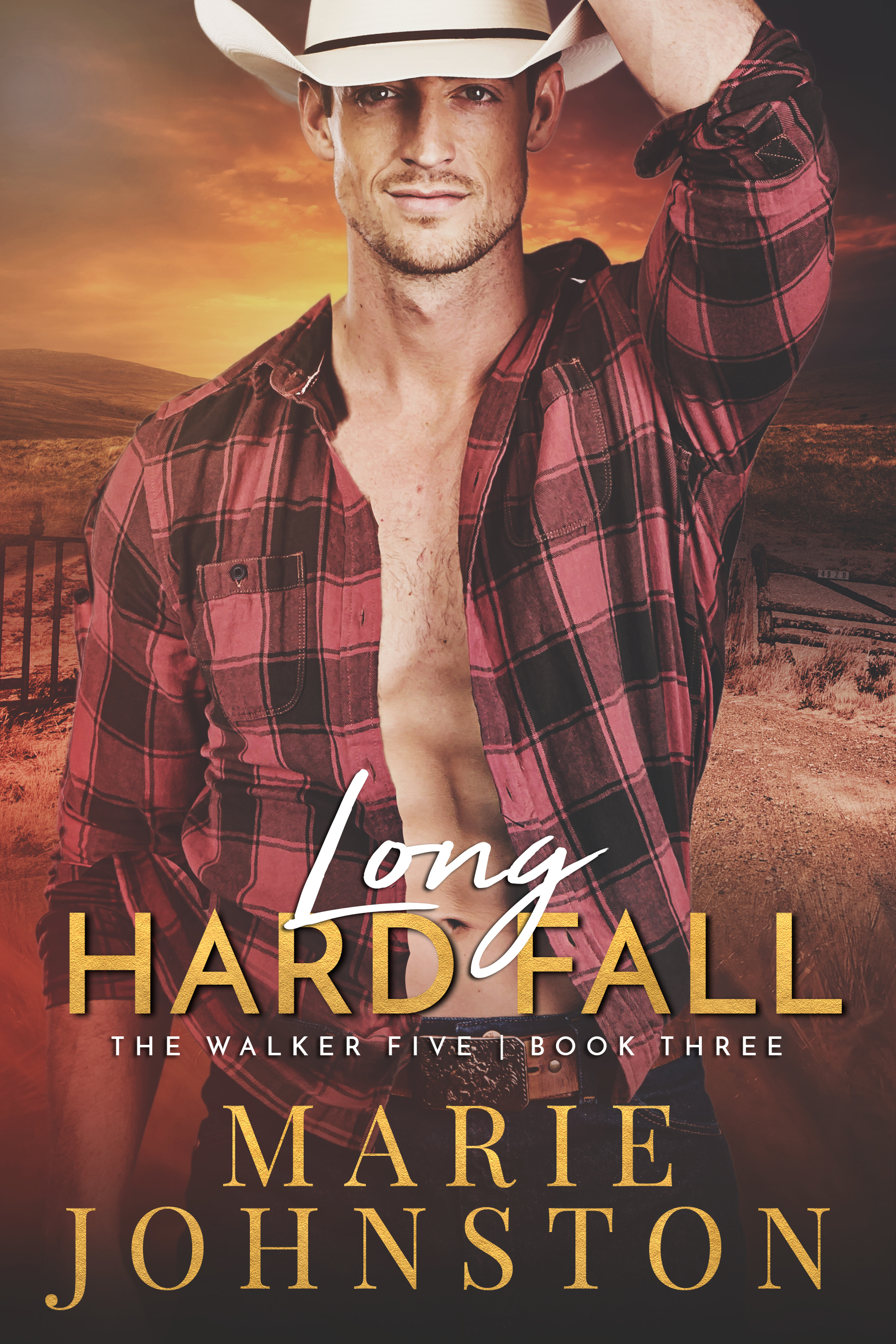 The Walker Five book cover 3
